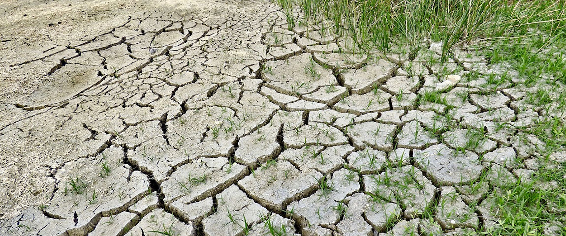 Need for huge changes in SA’s agricultural sector